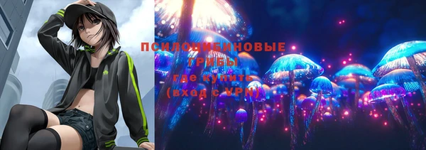 первитин Алексин