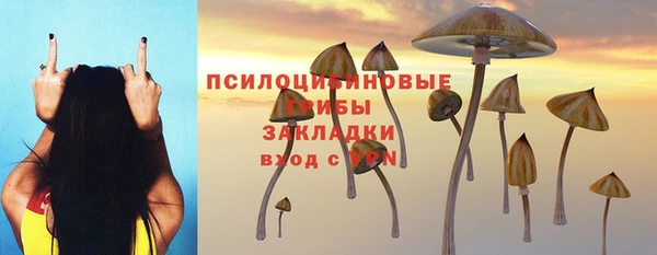 первитин Алексеевка