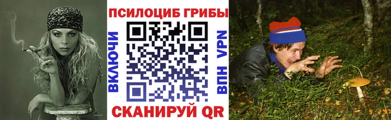 Псилоцибиновые грибы Psilocybine cubensis  Чадан 